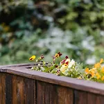 Le De L'ours, Jacuzzi And Private Sauna * Insemont