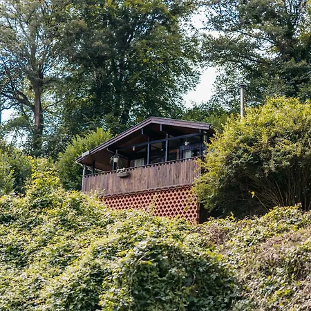 Le De L'ours, Jacuzzi And Private Sauna * Insemont