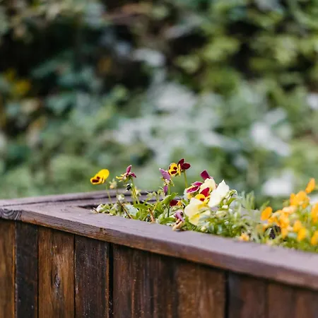 Le De L'ours, Jacuzzi And Private Sauna * Insemont