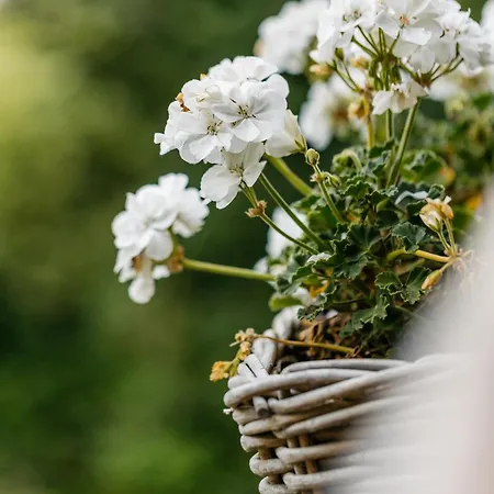 Le De L'ours, Jacuzzi And Private Sauna シャレー *